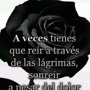 Meet your Posher, Dora